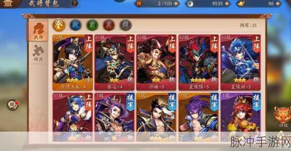 少年三国志群雄后期阵容搭配深度解析