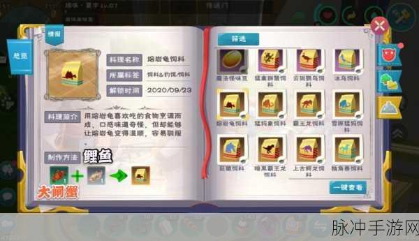 创造与魔法熔岩龟饲养指南，揭秘熔岩龟饲料配方