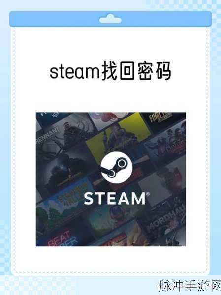 Steam 手机版密码忘记与修改全攻略