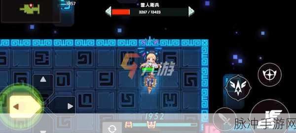 坎公骑冠剑维罗妮卡深度解析，全面技能介绍与攻略
