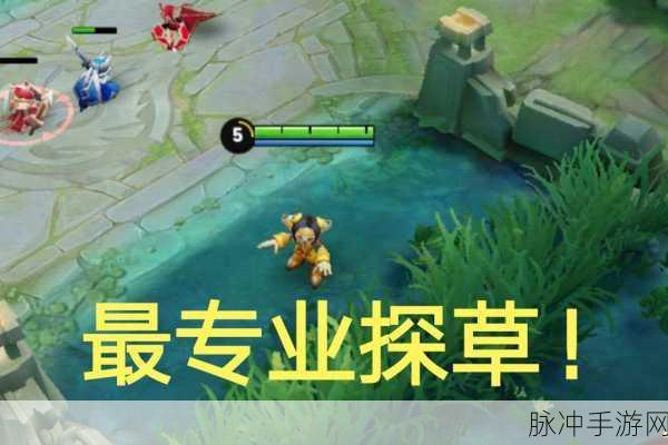 王者荣耀蹲人小技巧，揭秘草丛价值最大化的艺术