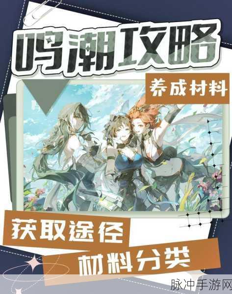鸣潮探索工具切换秘籍大揭秘