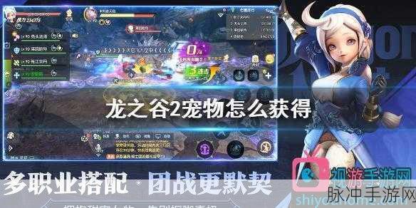 龙之谷2手游宠物品级与升阶全攻略