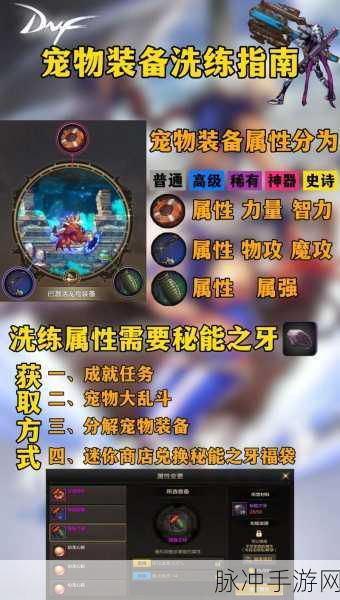 DNF手游攻略，深度解析神圣宠物胶囊与13年春节礼包宠物的封装之谜