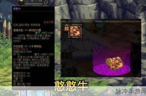 DNF手游攻略，深度解析神圣宠物胶囊与13年春节礼包宠物的封装之谜