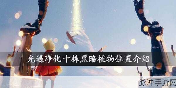 光遇，十株黑暗植物净化秘籍大公开