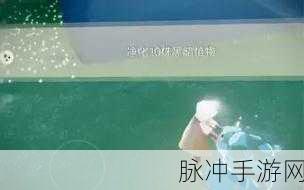 光遇，十株黑暗植物净化秘籍大公开