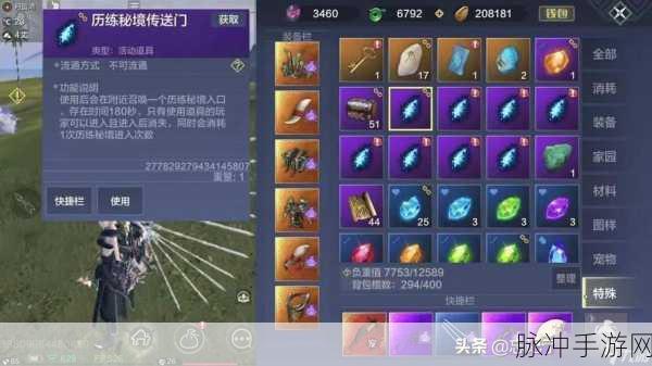 妄想山海手游攻略，全面解析如何快速提升实力