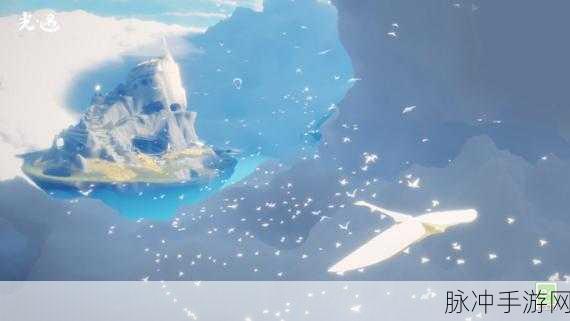 蓝色花朵的神秘燃烧之旅，解锁光遇世界的无尽奥秘