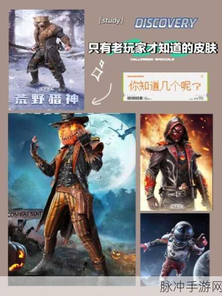 和平精英遗失的美好，探寻游戏中的隐藏宝藏