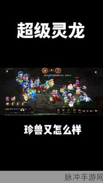 梦幻西游手游灵龙拼图攻略，解锁灵龙的神秘面纱