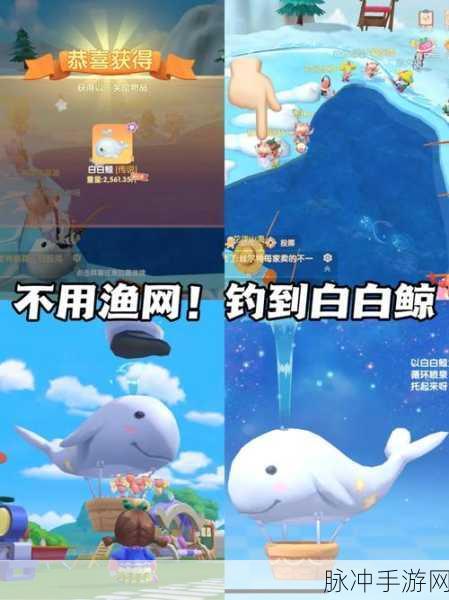摩尔庄园手游攻略，揭秘白白鲸飞天技巧