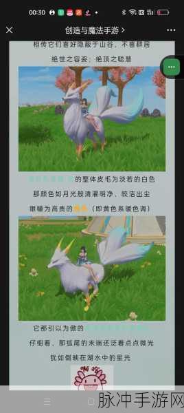 创造与魔法，坐骑食物全解析