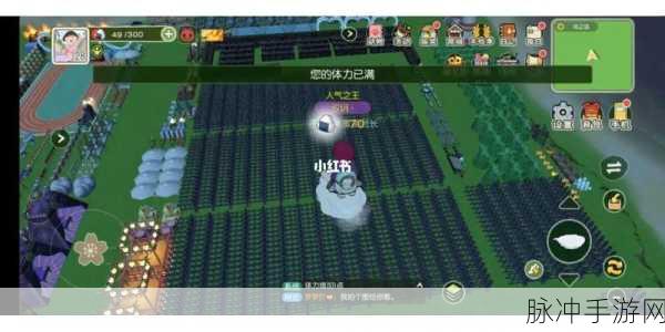小森生活南瓜狗狗背包获取秘籍大公开
