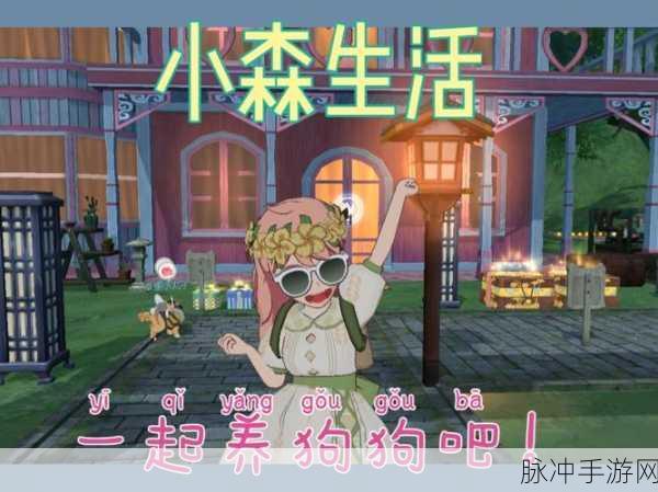 小森生活南瓜狗狗背包获取秘籍大公开