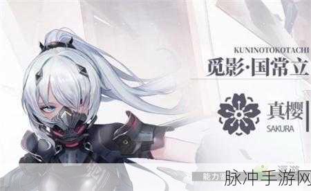 深空之眼觅影·国常立刻印搭配全解析，精准定位，战力飙升