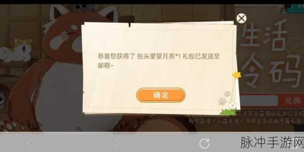 小森生活祈愿符使用秘籍，游戏体验飞升指南