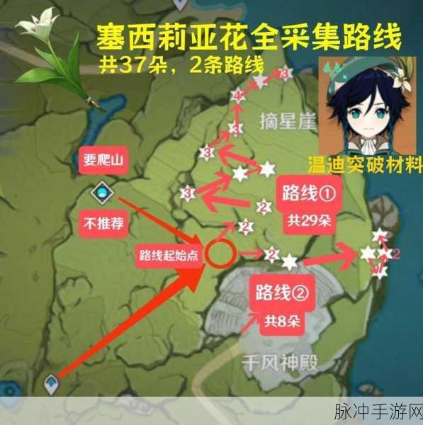 原神塞西莉亚花地图位置全攻略，探寻数量最多的分布点