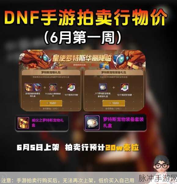 DNF手游交易系统深度解析，聚焦玩家拍卖行行为