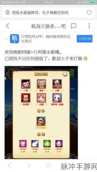 航海王强者之路，阵容搭配技巧深度解析，扬帆启航你的传奇冒险