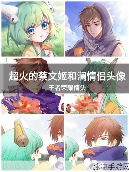 王者荣耀澜与蔡文姬情头大赏及深度攻略