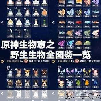 原神四方八方之网，全面捕捉动物攻略