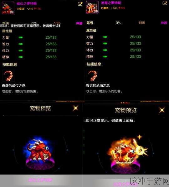 DNF 手游宠物装备使用全攻略