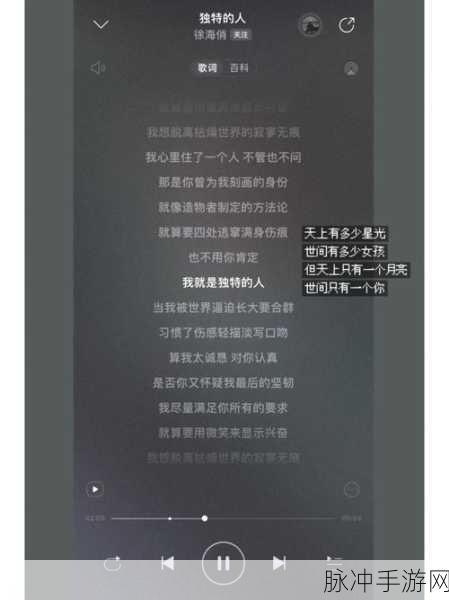 网易云音乐分享歌曲至朋友圈秘籍