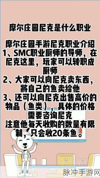 摩尔庄园深度攻略，揭秘尼克职业与喜好物品一览