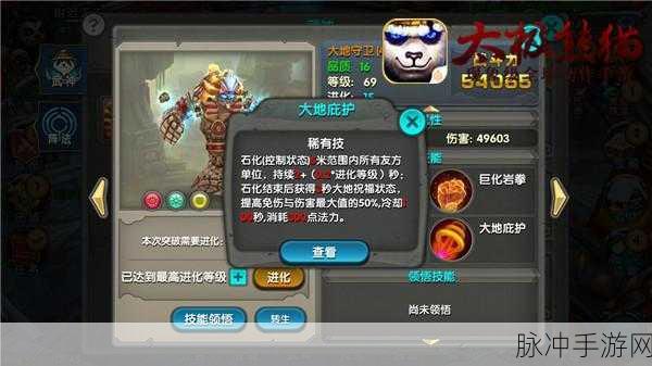 太极熊猫枪手武神组合深度剖析与实战攻略