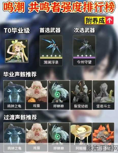 鸣潮纷争，深度解析声核作用与队友技能组合配搭