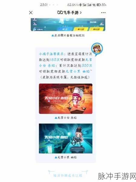 QQ 飞车手游角色性别更换全攻略