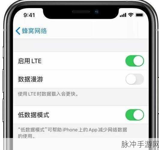 苹果手机低数据模式对手游体验的影响剖析