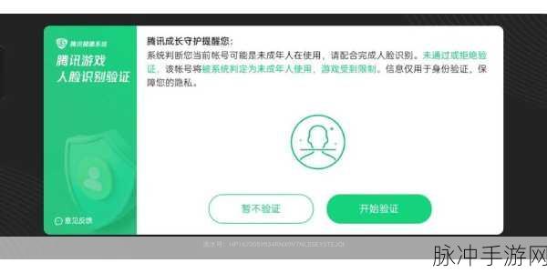 王者荣耀人脸识别频繁困扰？解决秘籍在此！