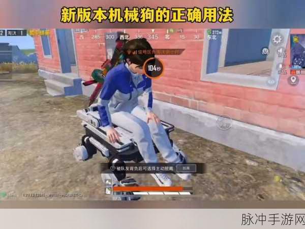 和平精英，机械狗驯服秘籍大公开