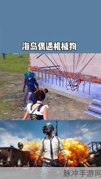 和平精英，机械狗驯服秘籍大公开