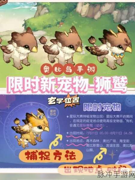 奥比岛手游，宠物变异秘籍大公开