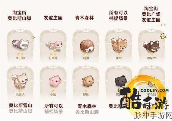 奥比岛手游，宠物变异秘籍大公开