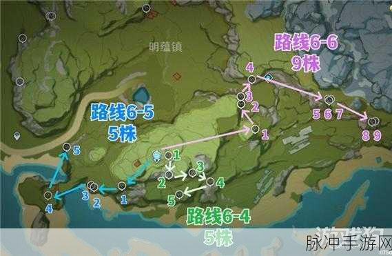 原神薄荷采集指南，摘取刷新点地图位置最新详解