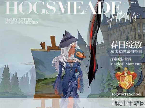 哈利波特魔法觉醒换衣秘籍大公开