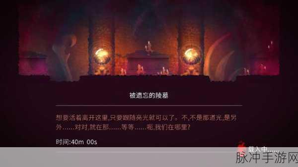 重生细胞陵墓白花探寻攻略，解锁隐藏秘密的钥匙