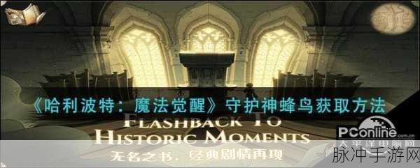 哈利波特魔法觉醒守护神获取秘籍大公开