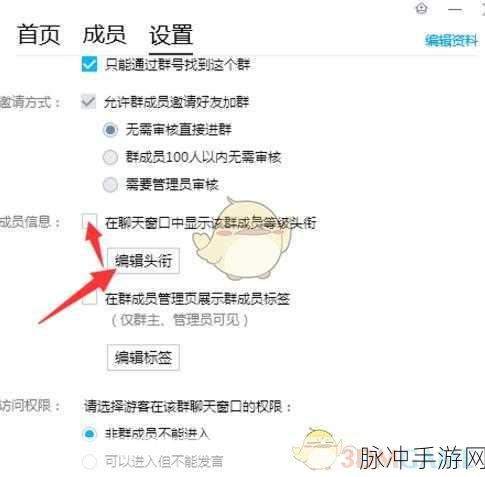 QQ 群头衔展示设置攻略，畅玩手游的必备技巧
