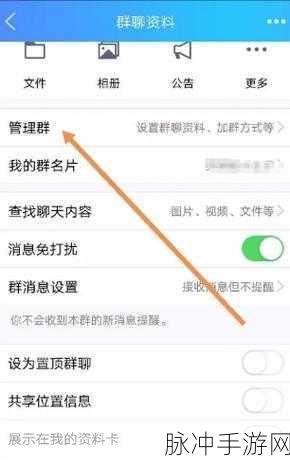 QQ 群头衔展示设置攻略，畅玩手游的必备技巧