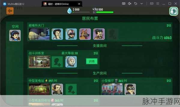 辐射避难所Online，角色培养全攻略，谁才是你的最佳拍档？
