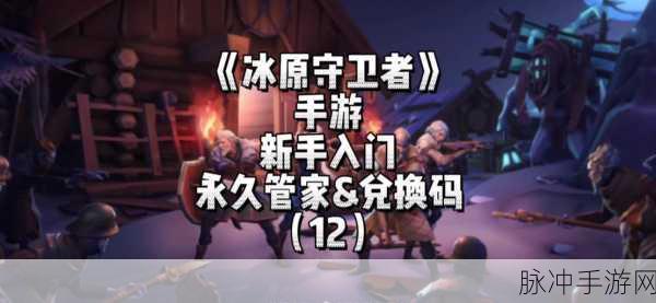 冰原守卫者，全面解析皮的获取秘籍