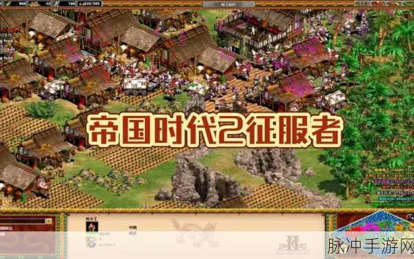 帝国时代2征服者手游发展技巧全解析