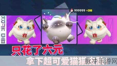蛋仔派对暹罗猫猫获取全攻略，解锁你的专属萌宠