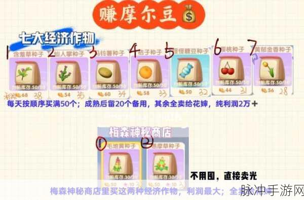 摩尔庄园手游，百合花种子轻松获取秘籍