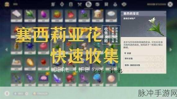 原神塞西莉亚花采集路线全攻略，轻松获取珍贵材料